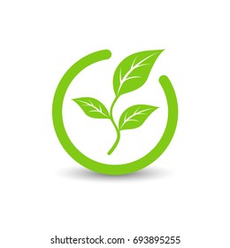 Green Sprout. Sign, icon, symbol. Vector illustration