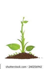 green sprout in the soil isolated on white background, vector
