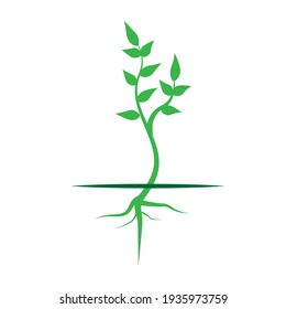 green sprout. Spring floral vector illustration. Stock image. EPS 10.