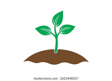Rebento verde sobre fundo branco.(1)