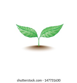 green sprout. vector eps10