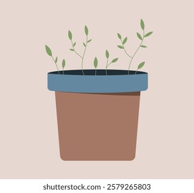 Green sprouts in a flower pot. Spring seedlings. Element for design, decor, card, banner, sticker, scrapbooking.