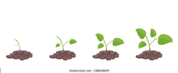 
green sprouts in the ground vector illustration