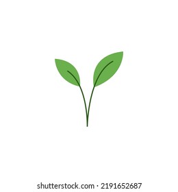 Green sprouts icon. Vector graphics