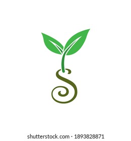 Green sprouts letter S. Plants that grow on the letter S which form a gucci with a green leaf symbol.