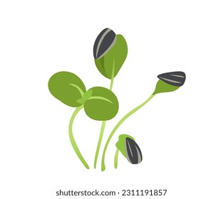 El concepto de brote verde es microverde. Naturaleza y vida salvaje. Planta orgánica, jardinería y agricultura. Ingrediente para ensalada. Etiqueta de los medios sociales. Dibujo vectorial plano de dibujos animados aislado en fondo blanco