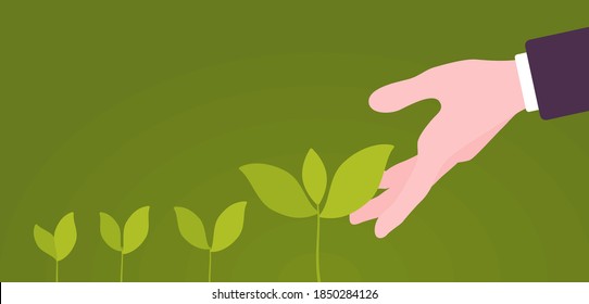 Green sprouts of plant putting out shoots with helping hand. Giving one support to encourage sprouting, growing and life development, resource for beginning. Vector flat style cartoon illustration