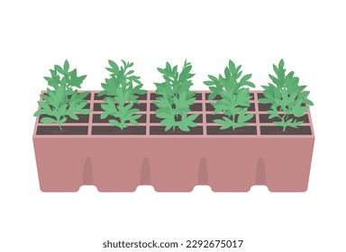 Green sprouts of a plant. Young seedling in the ground. Garden bed. Gardening outdoor. Caring for nature and ecology. Flat vector illustration isolated on white background