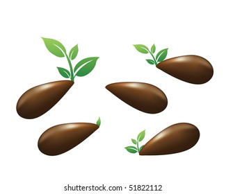 Green sprouts of plants on a white background