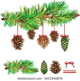 green spruce branch with needles and checkers with rope and bow, christmas design elements, hand drawing,