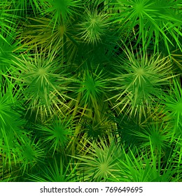 Green spruce branches with spines. Seamless vector pattern.