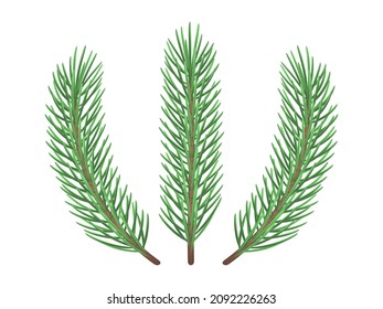 Green spruce branches template. Winter holiday decoration with coniferous aroma. Christmas and creative interior element with trendy vector year color