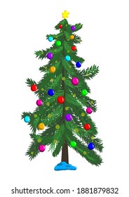 Green spruce (Christmas tree) on a white background. Vector