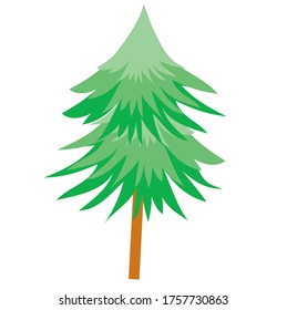green spruce for christmas without decorations, isolated object on a white background, vector illustration, eps