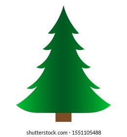 Green spruce icon. Isolated on a white background.Vector