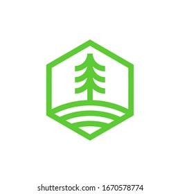 green spruce icon using line style. clean and modern pine tree business logo identity vector design
