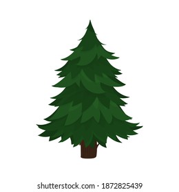 Green spruce isolated on white background. Pine tree in a flat style. Vector.