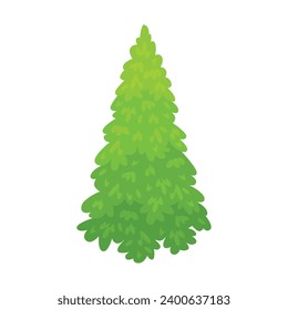 Green spruce isolated on white background. Vector cartoon flat icon of fir tree.

