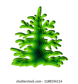 Green spruce on a white background. Isolated object for advertising posters, brochures, flyers about ecology. Vector