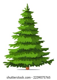  Green spruce on a white background. Flat style vector illustration.