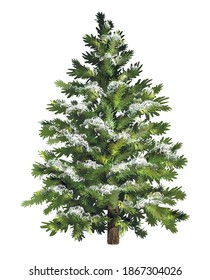Green spruce with snow. Christmas tree with frost. Realistic pine tree. Vector illustration.