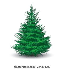 Green spruce tree isolated on white. Realistic vector illustration