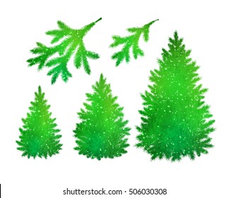 Green spruce trees and branches silhouette vector collection. 