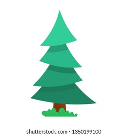 Green  spruce.Illustration in cartoon style, element for landscape or background.
