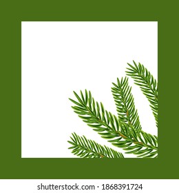 Green square frame with fir branches. Vector frame for winter photographs and certificates.