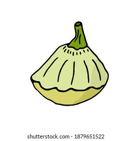 Grüner Squash im Doodle-Stil auf weißem Hintergrund. Vektorgrafik, handgezeichnet. Gemüse für eine gesunde Ernährung.