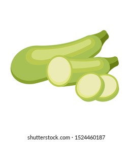Green squash isolated on white background. Vector illustration. Eps 10.