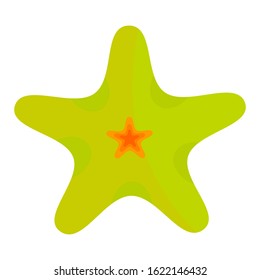 Green starfish in a flat style isolated on white background. Life of the sea. Vector illustration for your design. Summer cartoon starfish. Summer time concept.