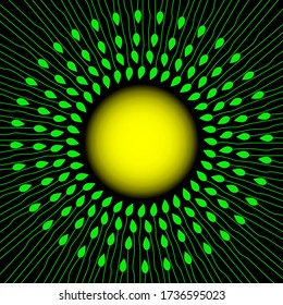 Green stems and leaves around the sun. Spring or summer background. Vector illustration.