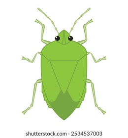 green stink bug, pest, insect, vector illustration 