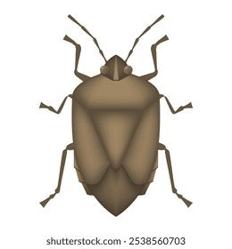 bicho apestoso verde, plaga, insecto, Ilustración vectorial 