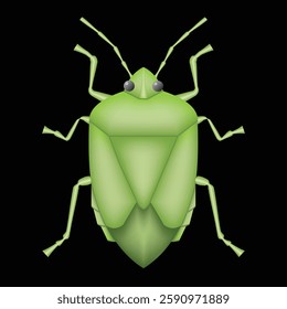 green stink bug, pest, insect, vector illustration 