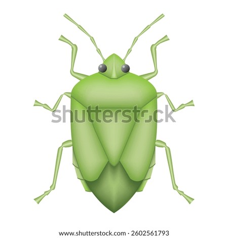 green stink bug, pest, insect, vector illustration 