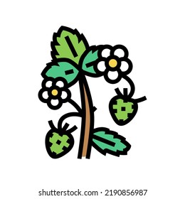 grüner Erdbeerfarbensymbol, Vektorgrafik. grünes Erdbeerschild. einzelne Symbolillustration