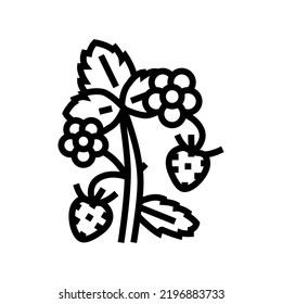 green strawberry line icon vector. green strawberry sign. isolated contour symbol black illustration