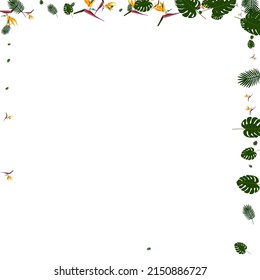 Green Strelitzia Background White Vector. Leaves Beach Backdrop. Pink Monstera. Spring Illustration. Orange Print Card.