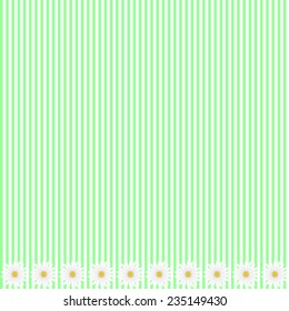 Green stripe background with daisy flowers, vector image