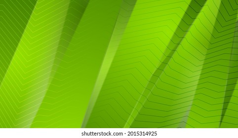 Green stripes and lines abstract corporate background. Vector graphic design