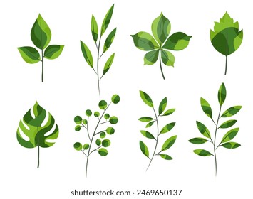 Green stylized branches, leaves vector illustration set. Abstract cute plants for eco collage. Vegetation leaves foliage flat design element