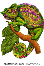 green stylized chameleon with palm leaves