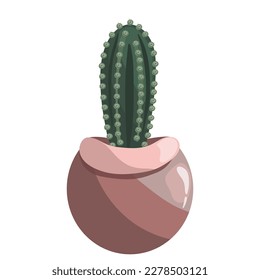 Green succulent cereus in ceramic pot on a white. Peruvian apple cactus, giant club cactus, hedge cactus, kayush, dama di anochi, 
