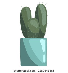 Green succulent cereus in ceramic pot on a white. Peruvian apple cactus, giant club cactus, hedge cactus, dama di anochi, kayush