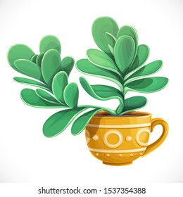 Green succulent growing in yellow ceramic cup with a white geometric ornament isolated on white background