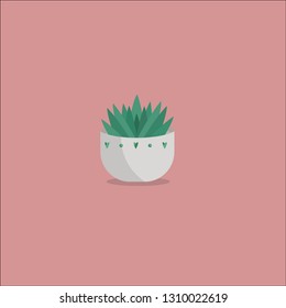 Green succulent illustration