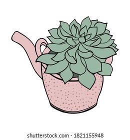 Green succulent in the pink teapot. Cute vector cactus silhouette Lovely home plant. 
