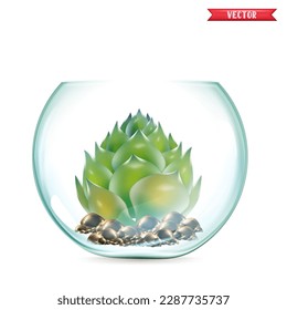 Green succulent plant in beige flowerpot 3D realistic tree front view.illustration in aquarium  home or office in 3D style on white background. green of indoor plant isolated on white background